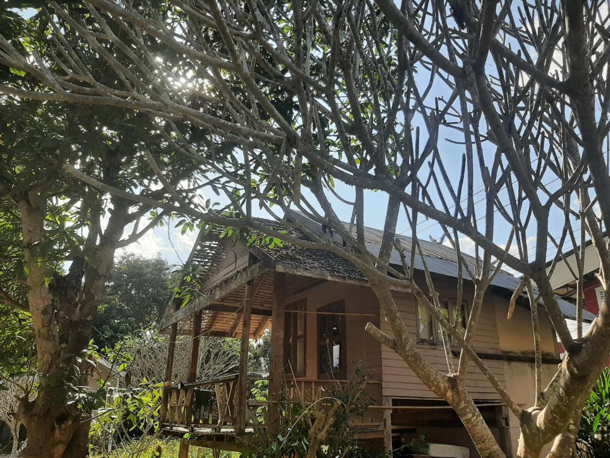 Pai River Jam Hostel & Campground Ngoại thất bức ảnh