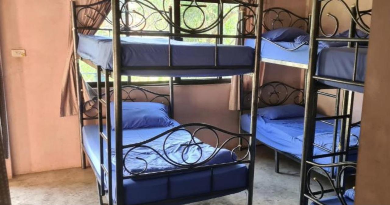 Pai River Jam Hostel & Campground Ngoại thất bức ảnh