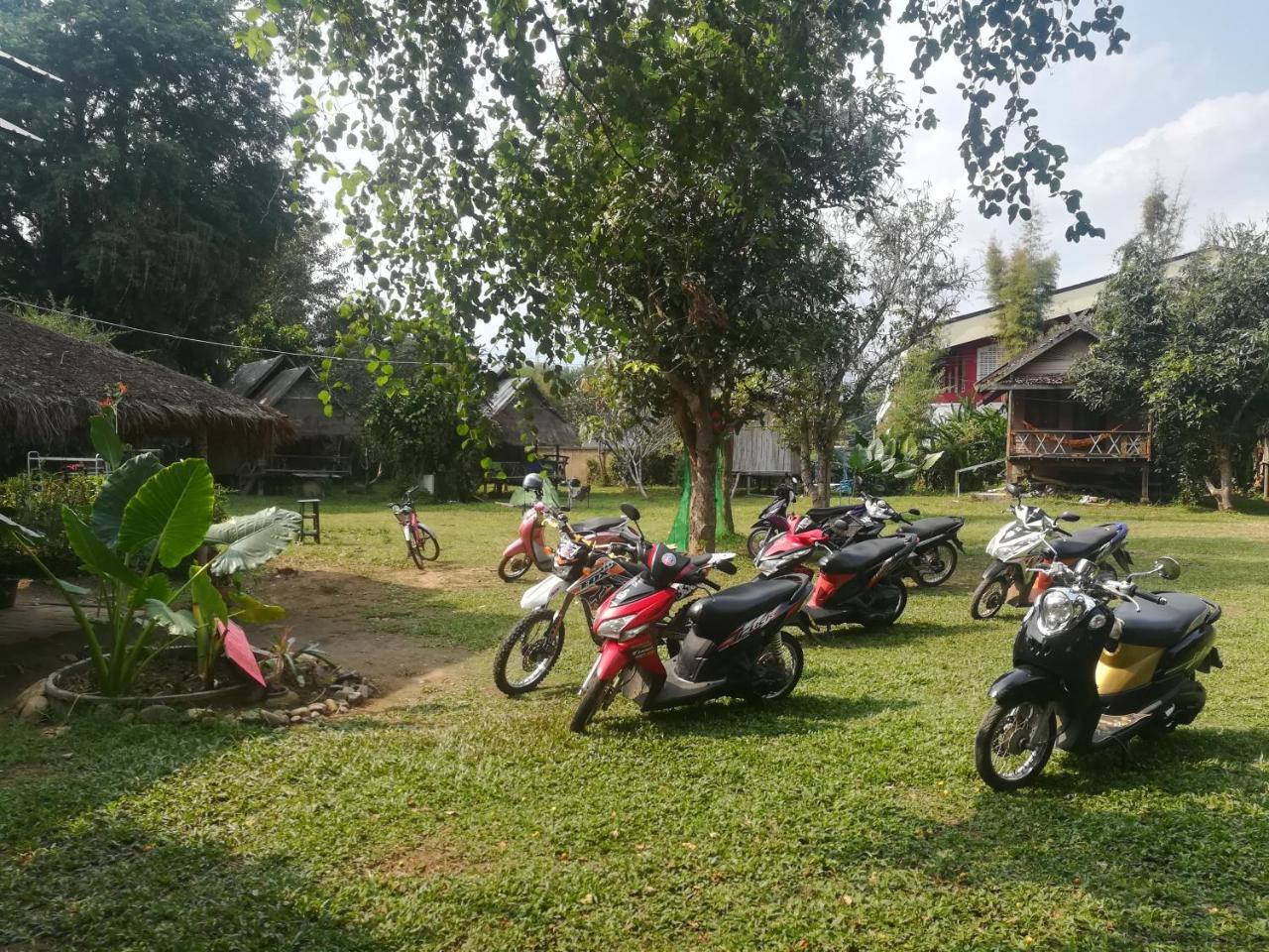 Pai River Jam Hostel & Campground Ngoại thất bức ảnh